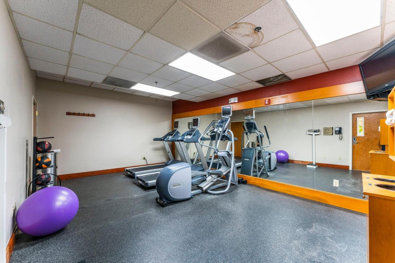 Paradise Valley 1bd 2 Full Beds Apartamento